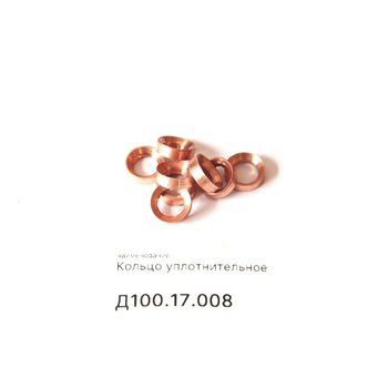 Д100.17.008 Кольцо уплотнительное