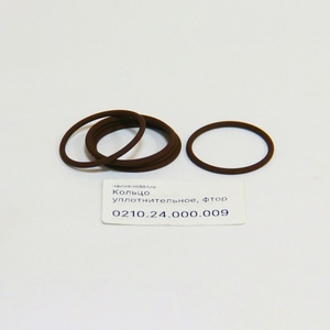 0210.24.000.009 Кольцо уплотнительное, фтор