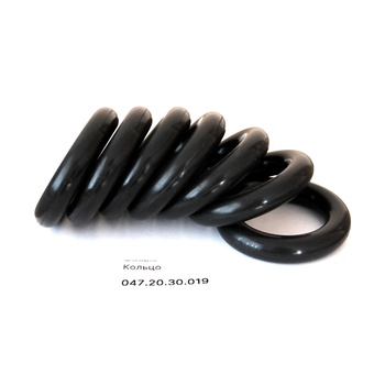 047.20.30.019 Кольцо