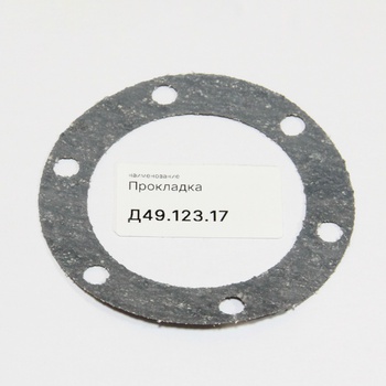 Д49.123.17 Прокладка 